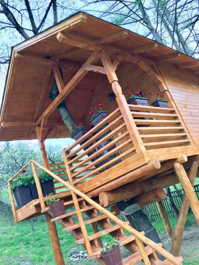 Вілла Domeniul Horj Casa Din Cires Мойсей Екстер'єр фото