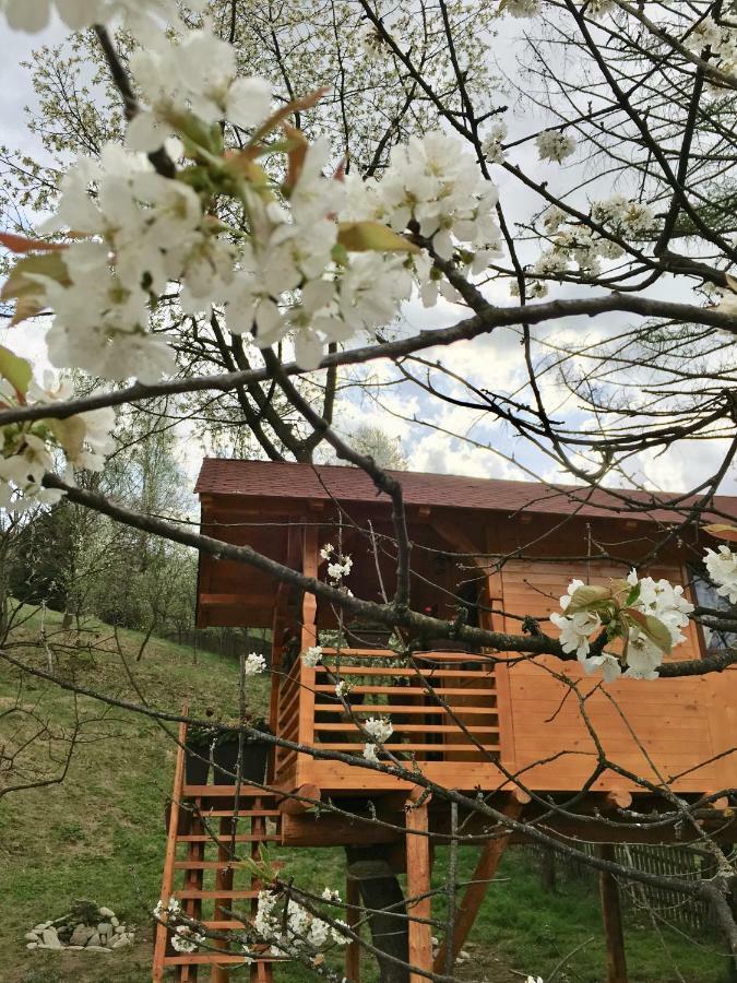 Вілла Domeniul Horj Casa Din Cires Мойсей Екстер'єр фото
